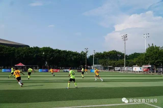 联合国秘书长选举进入白热化阶段，女性候选人的前景引人关注